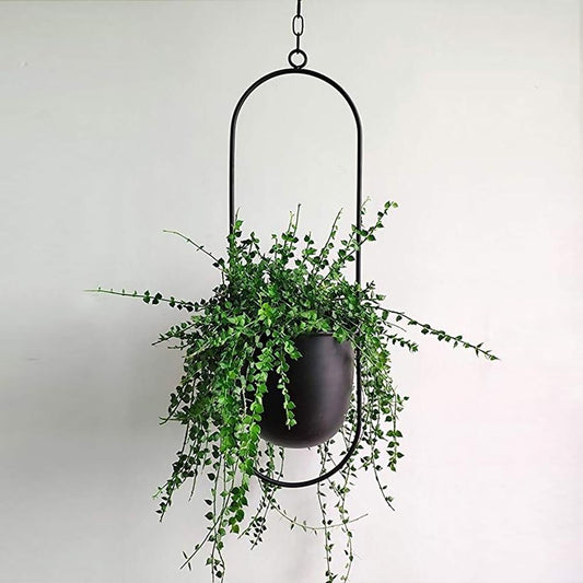 FloraFrame Hanging Planter – Modern Minimalist Iron Décor